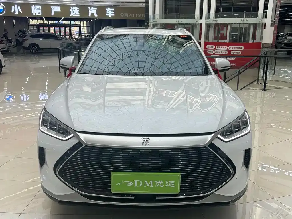 BYD PLUS New Energy — фото 2