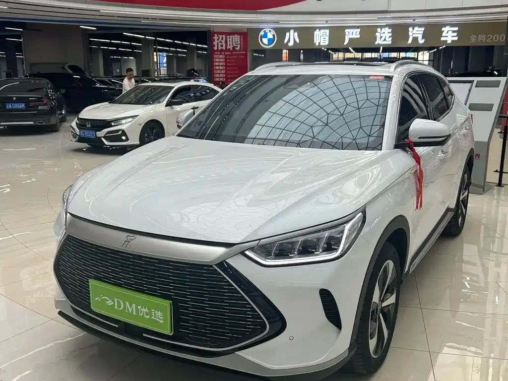 BYD PLUS New Energy — фото 3