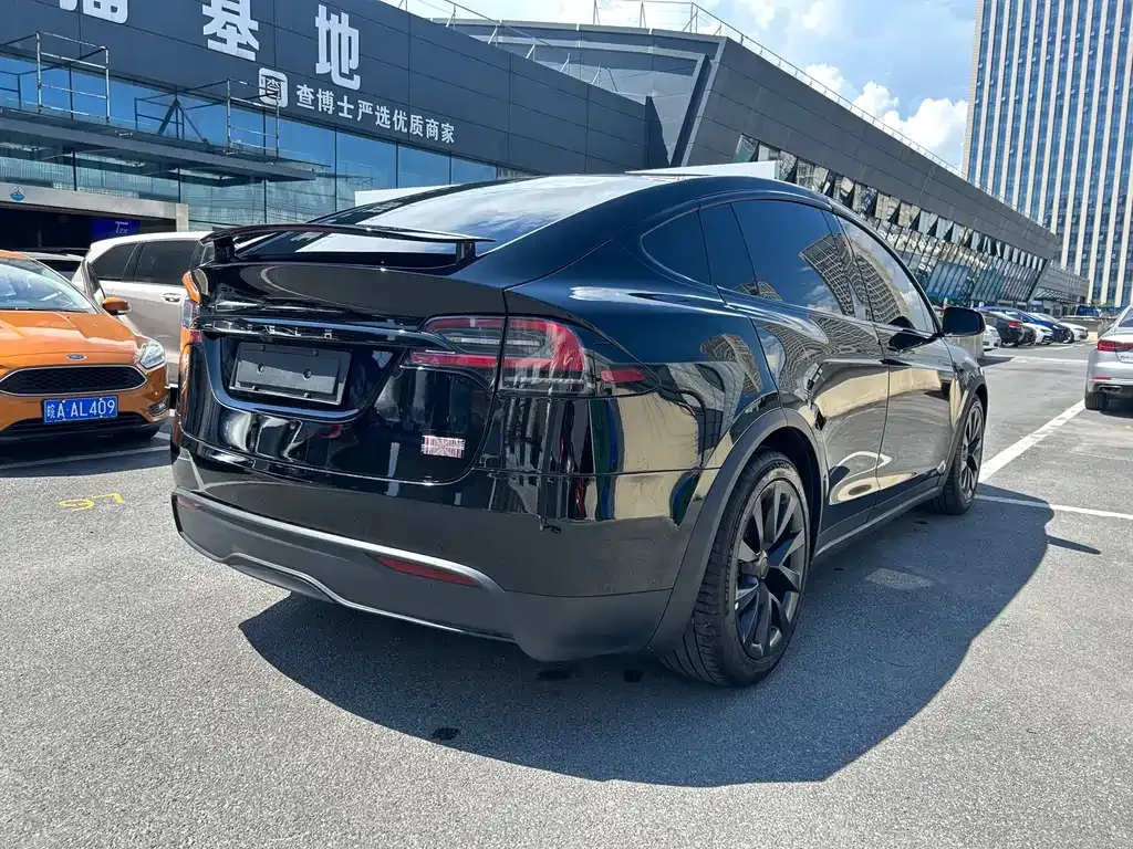 Tesla Model X — фото 10
