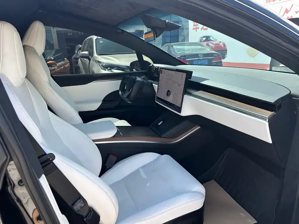 Tesla Model X — фото 8