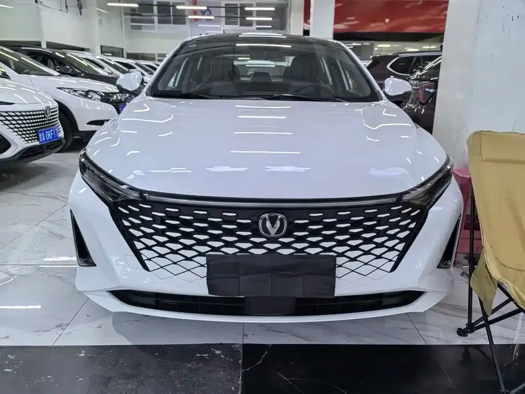 Changan Ruicheng PLUS 2023 из CN, фото 2