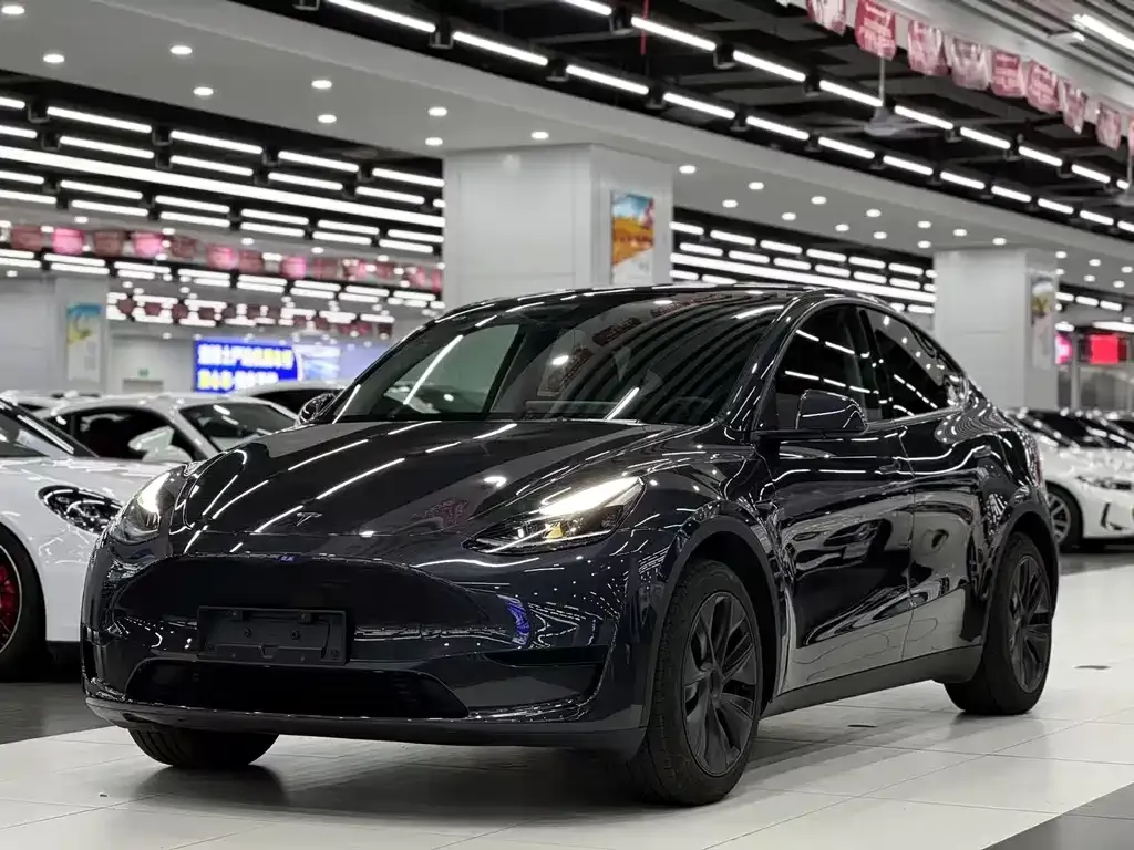 Tesla Model Y — фото 1