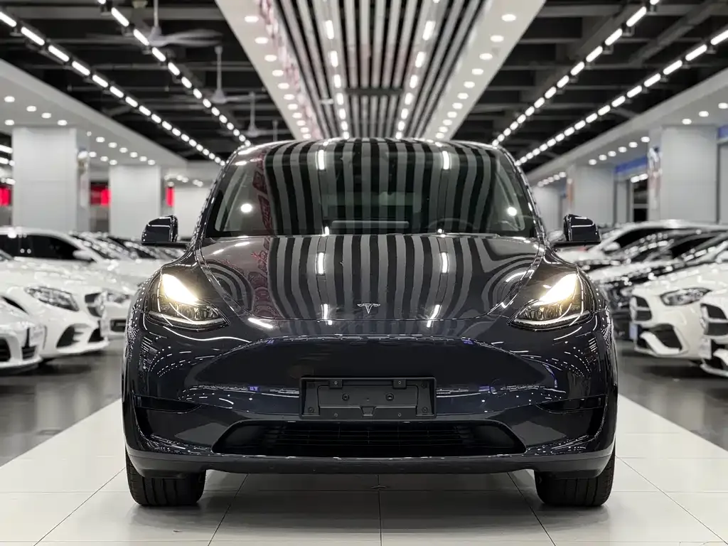 Tesla Model Y — фото 2