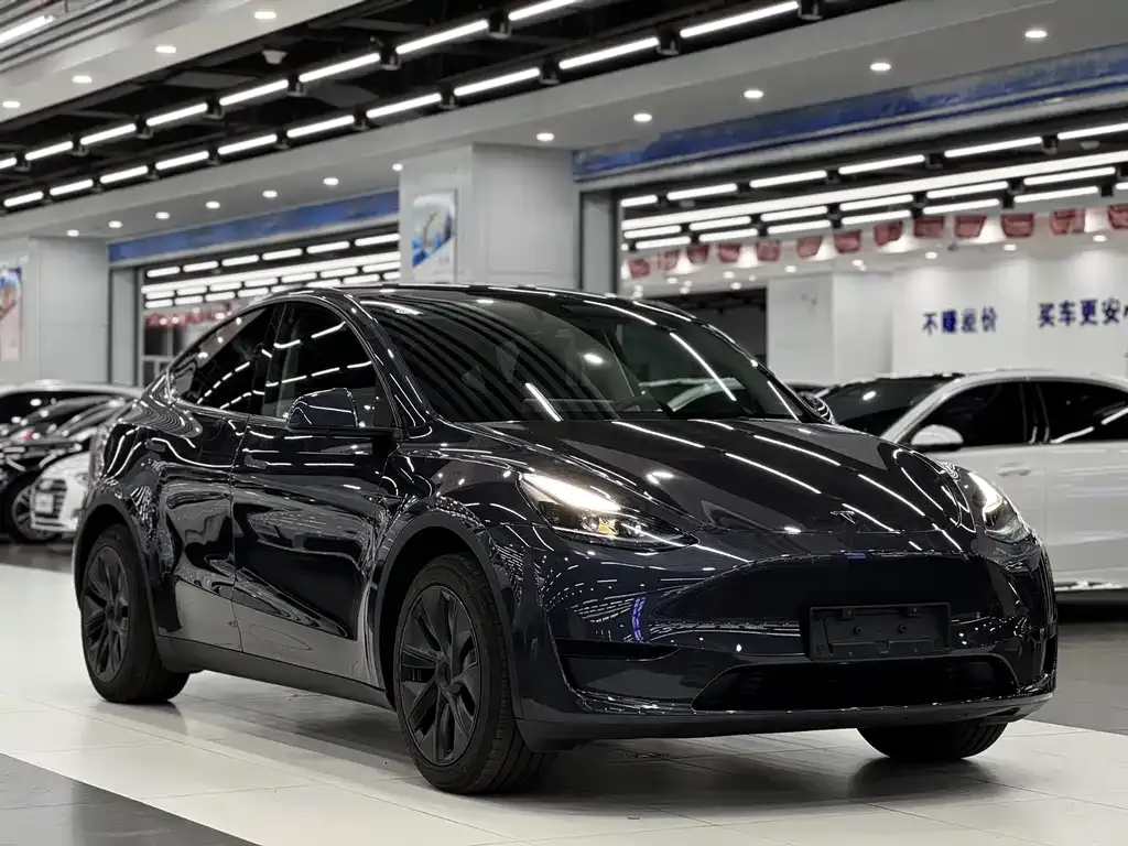Tesla Model Y — фото 3