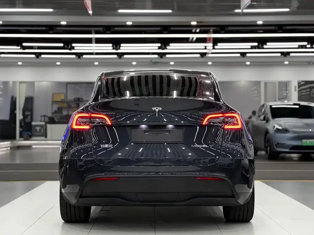 Tesla Model Y — фото 5