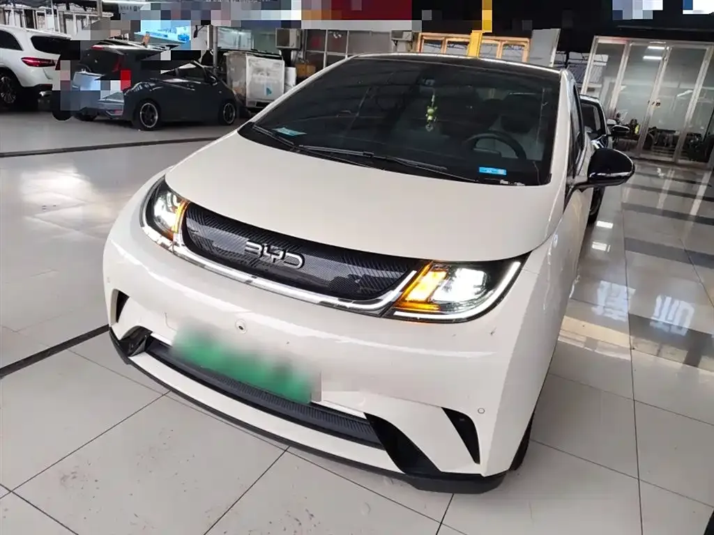 BYD Dolphin 2024 из CN, фото 2