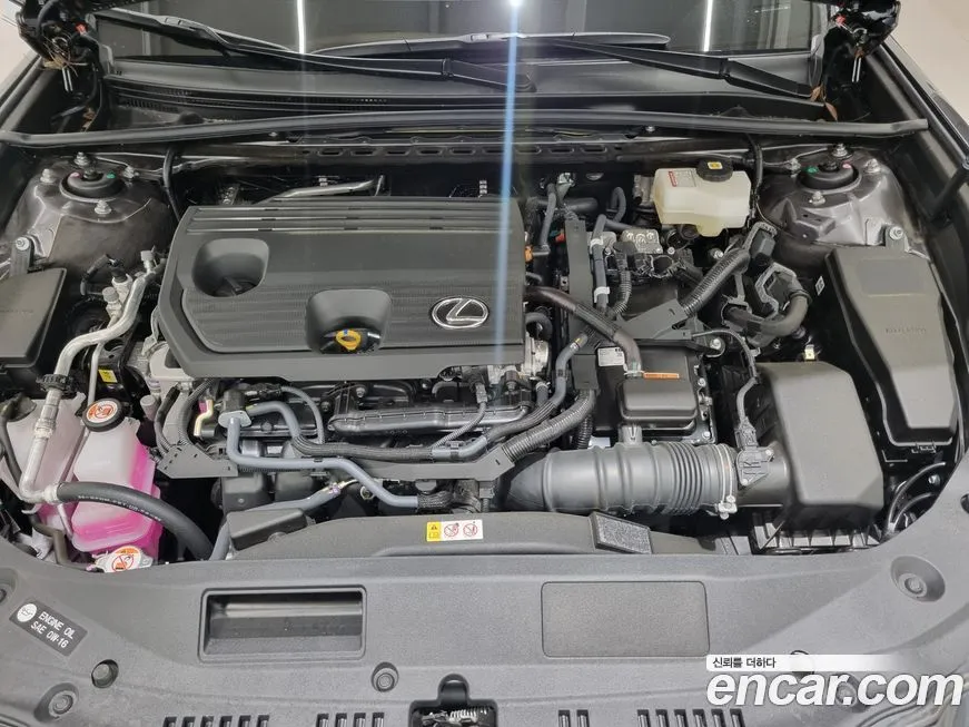Lexus ES 2025 из KR, фото 6