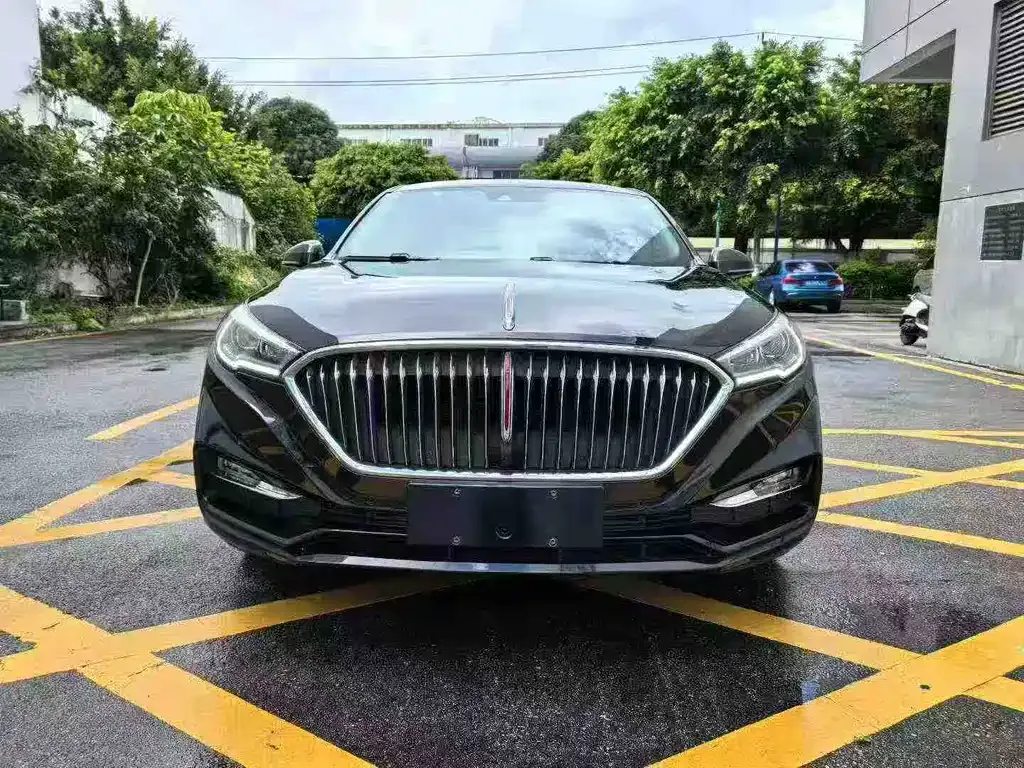 Hongqi H5 2023 из CN, фото 2