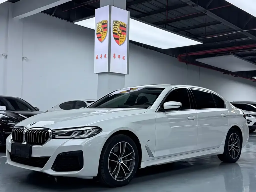 BMW 5 Series 2021 из CN, фото 1