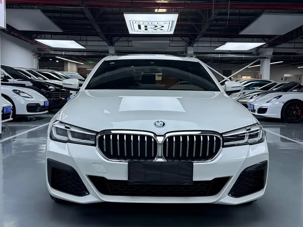 BMW 5 Series 2021 из CN, фото 2