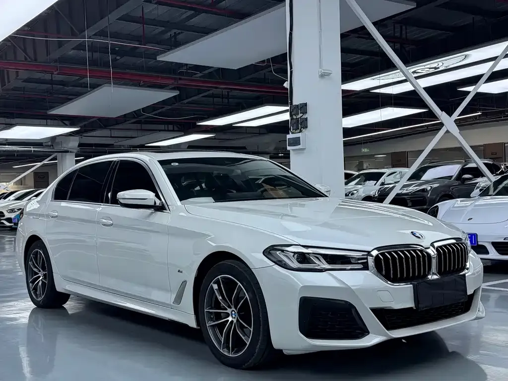 BMW 5 Series 2021 из CN, фото 3