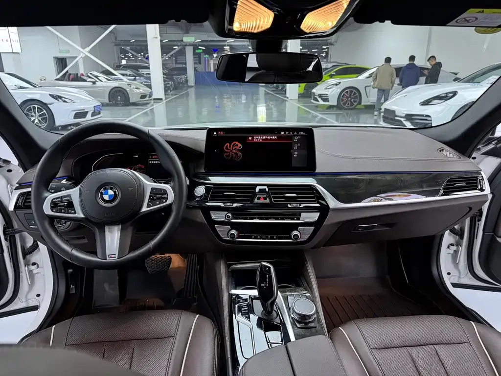 BMW 5 Series 2021 из CN, фото 4