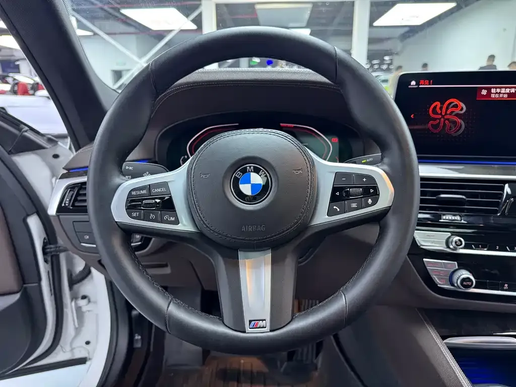 BMW 5 Series 2021 из CN, фото 5