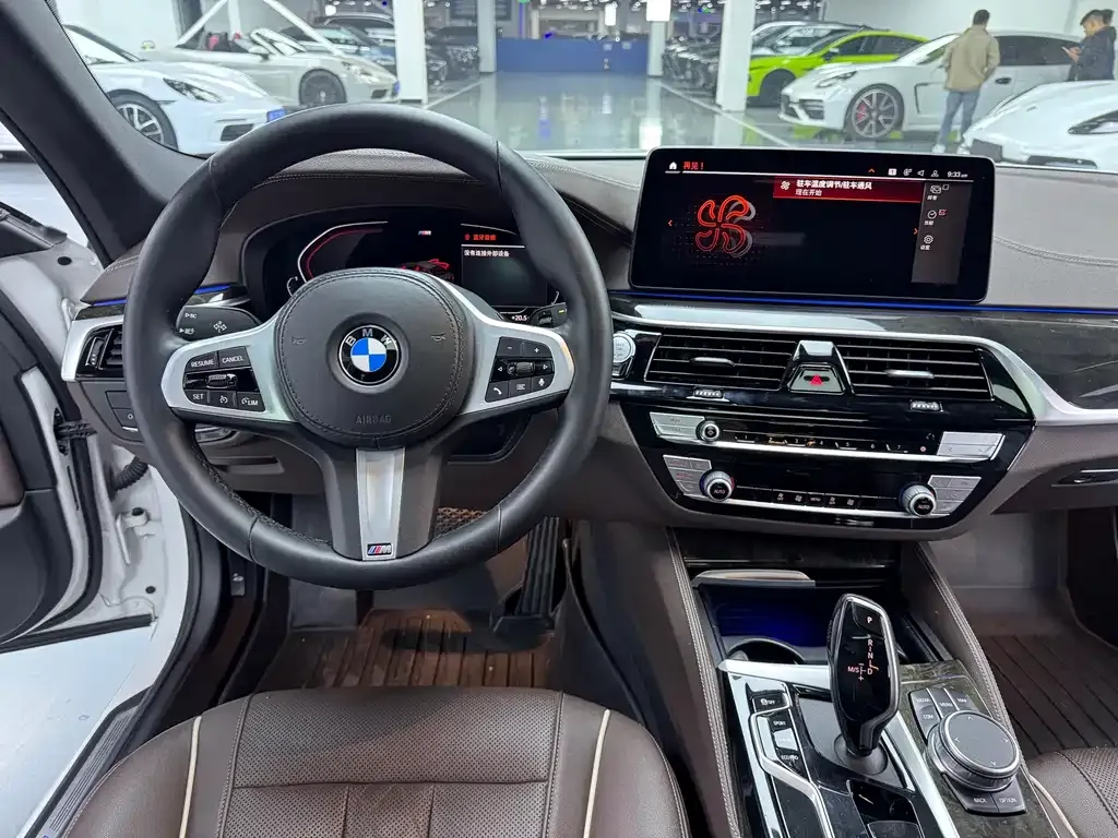 BMW 5 Series 2021 из CN, фото 6
