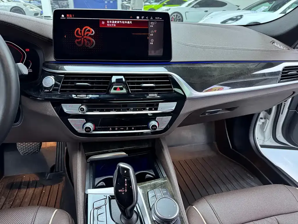 BMW 5 Series 2021 из CN, фото 7