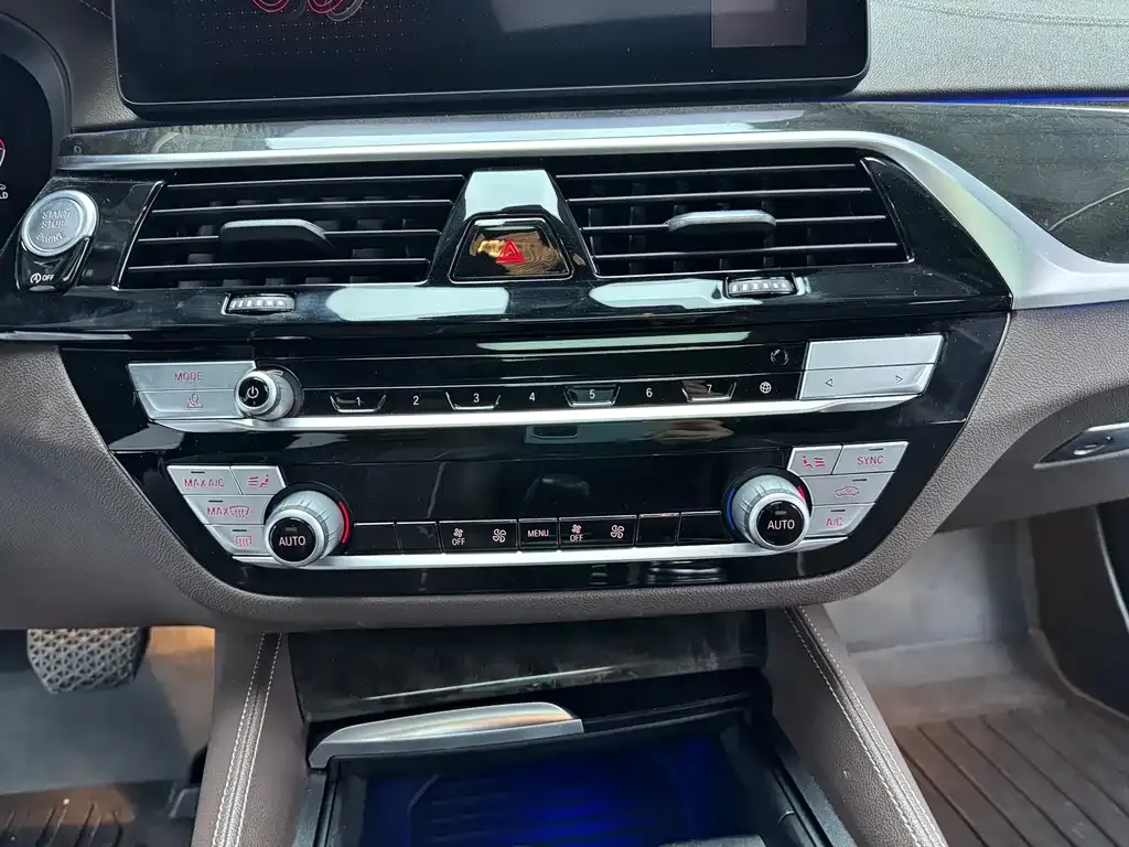 BMW 5 Series 2021 из CN, фото 8