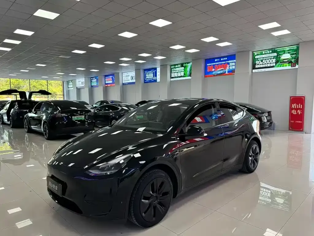Tesla Model Y 2024 из CN, фото 1