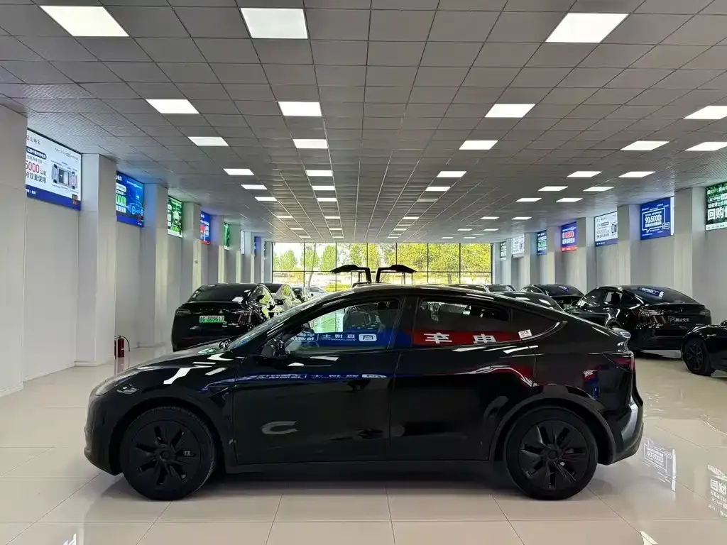 Tesla Model Y 2024 из CN, фото 3