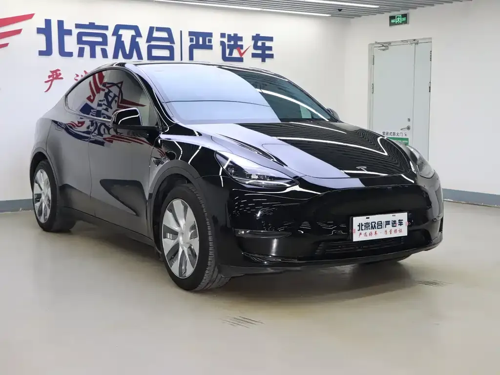 Tesla Model Y — фото 2