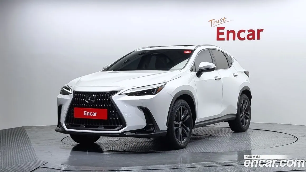 Lexus NX 2025 из KR, фото 1
