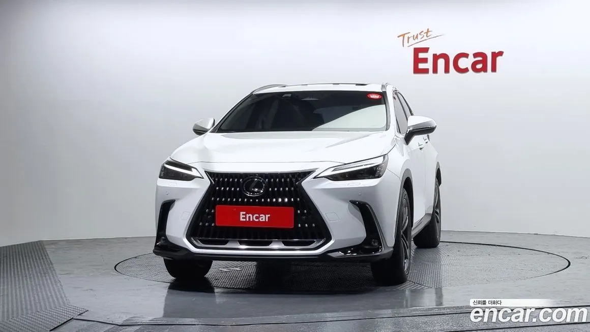 Lexus NX 2025 из KR, фото 3
