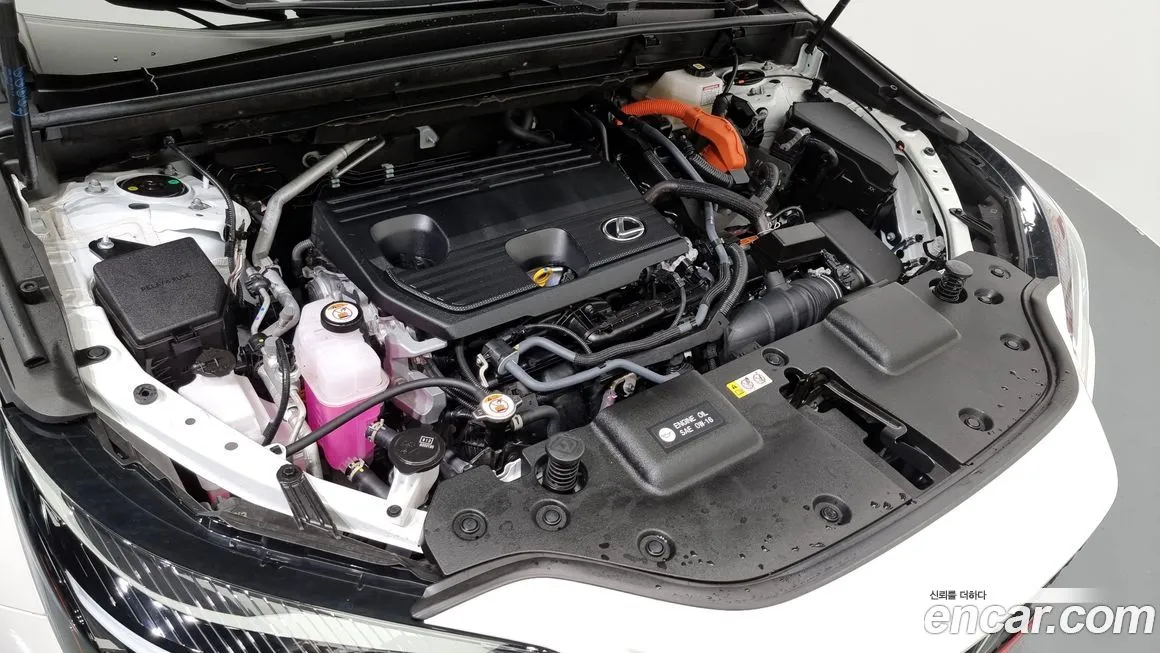 Lexus NX 2025 из KR, фото 6