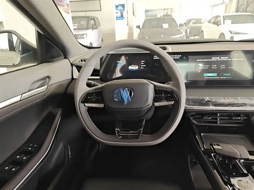 Changan Ruicheng PLUS 2025 из CN, фото 3