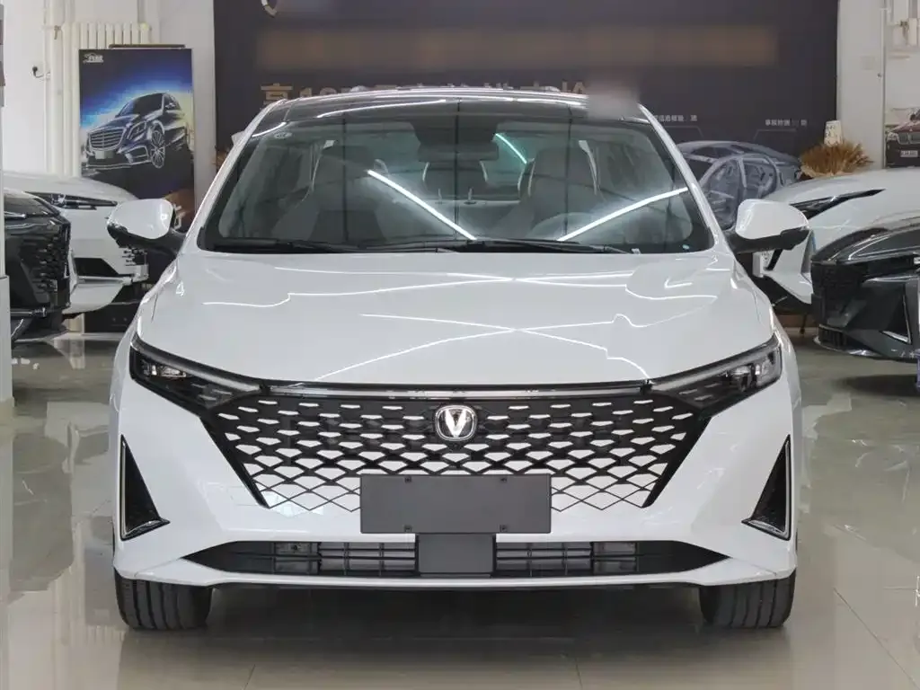 Changan Ruicheng PLUS 2025 из CN, фото 6