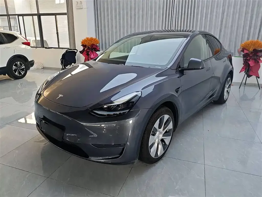 Tesla Model Y — фото 2