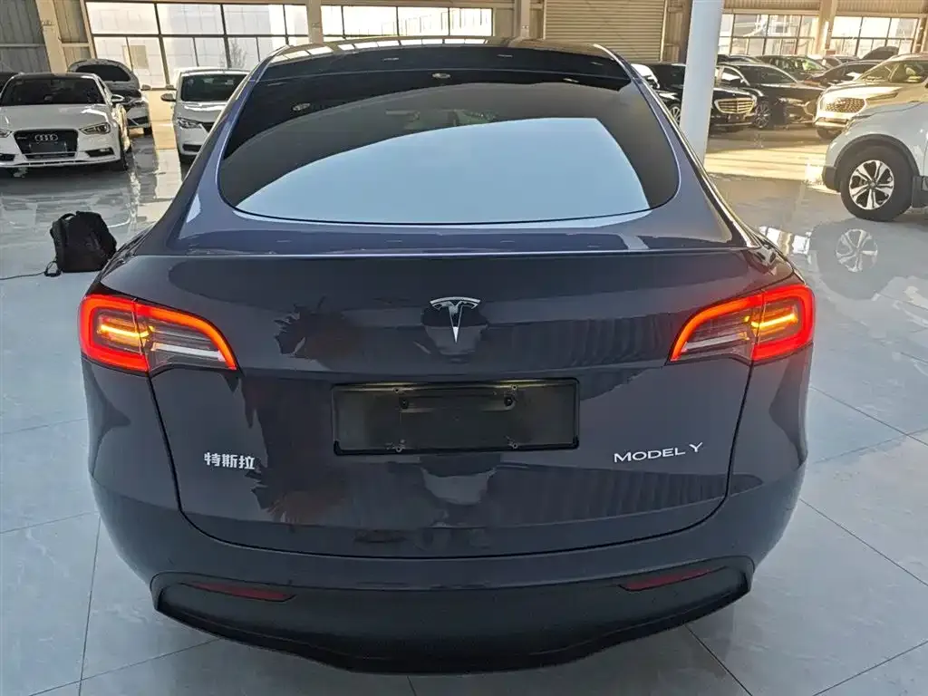 Tesla Model Y — фото 6