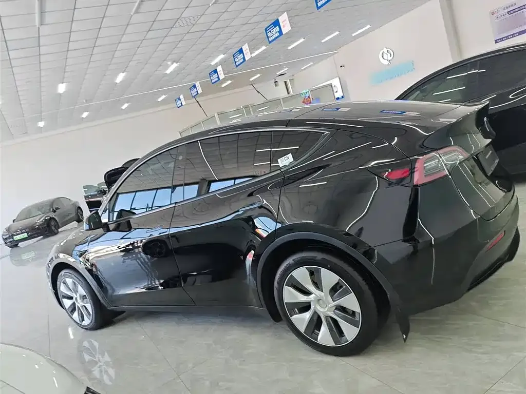 Tesla Model Y — фото 10