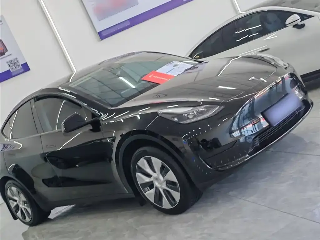 Tesla Model Y — фото 9