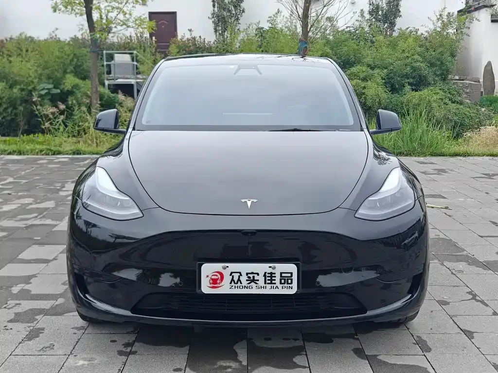 Tesla Model Y — фото 2