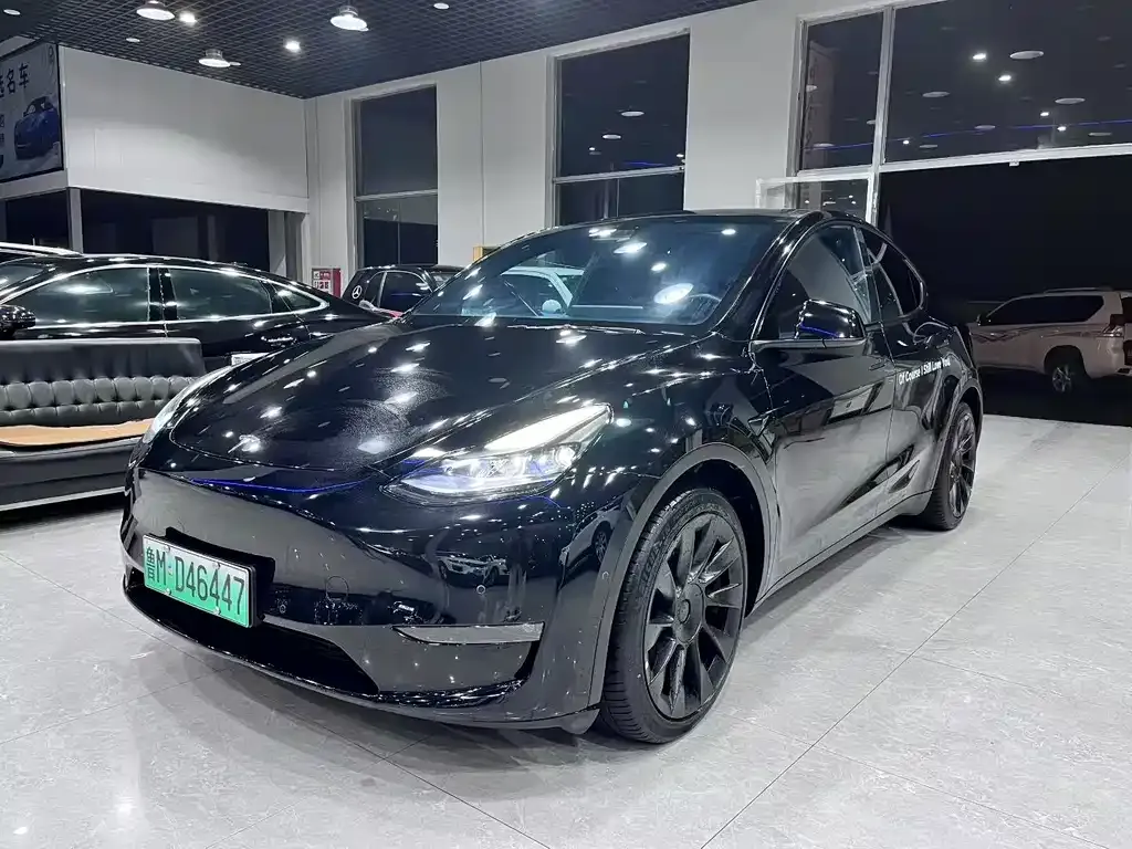 Tesla Model Y — фото 1