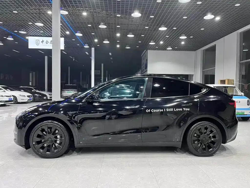 Tesla Model Y — фото 3