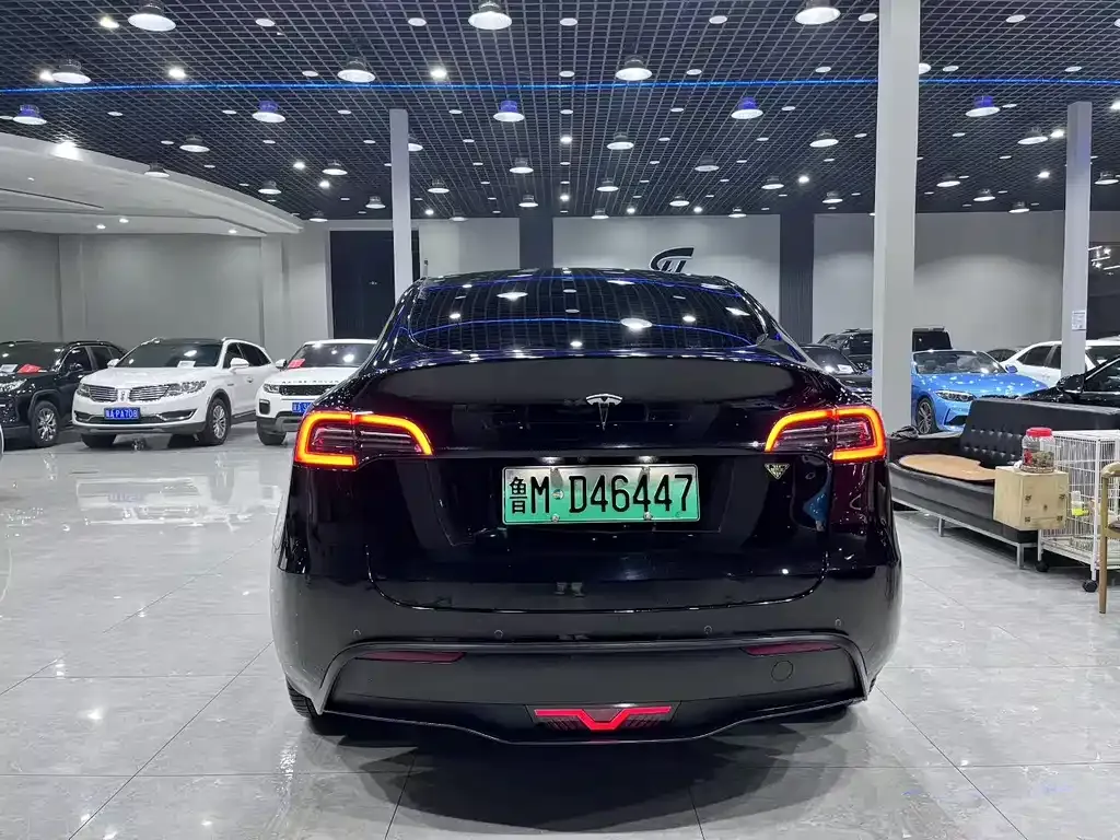 Tesla Model Y — фото 4