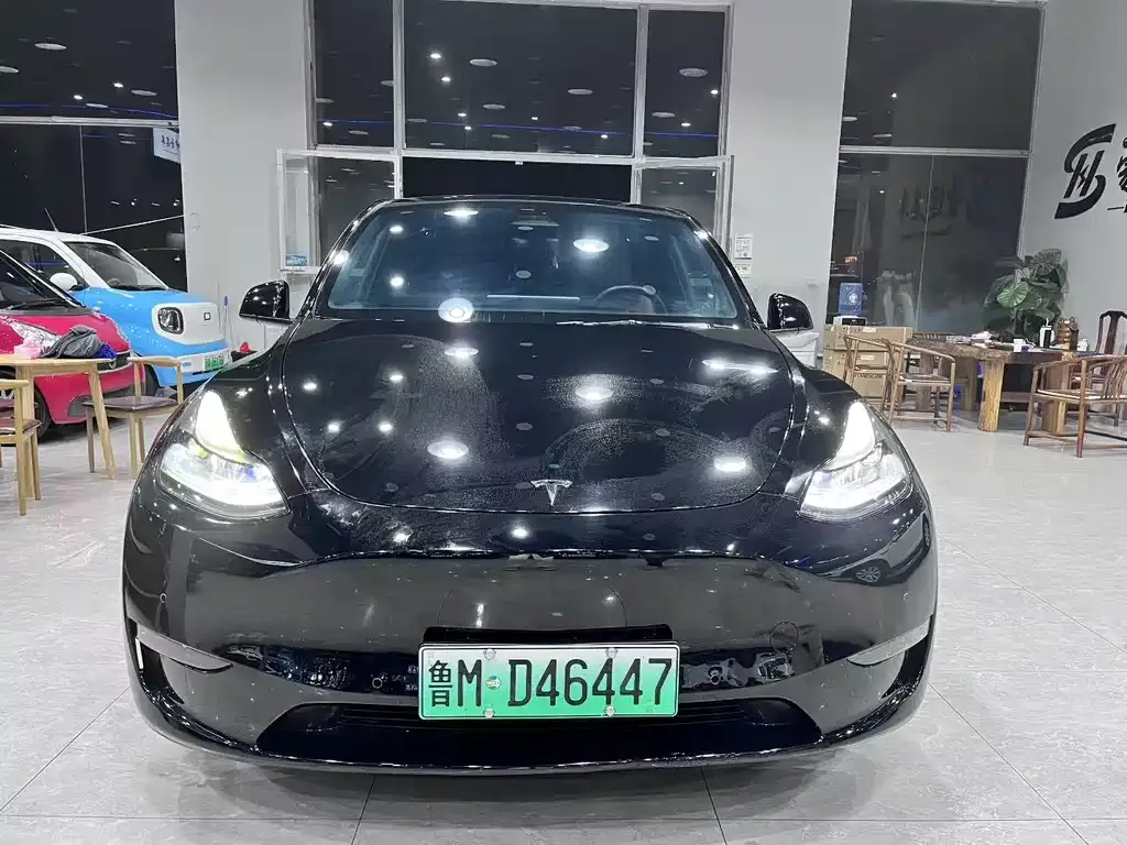 Tesla Model Y — фото 5