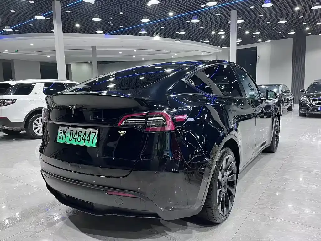 Tesla Model Y — фото 6