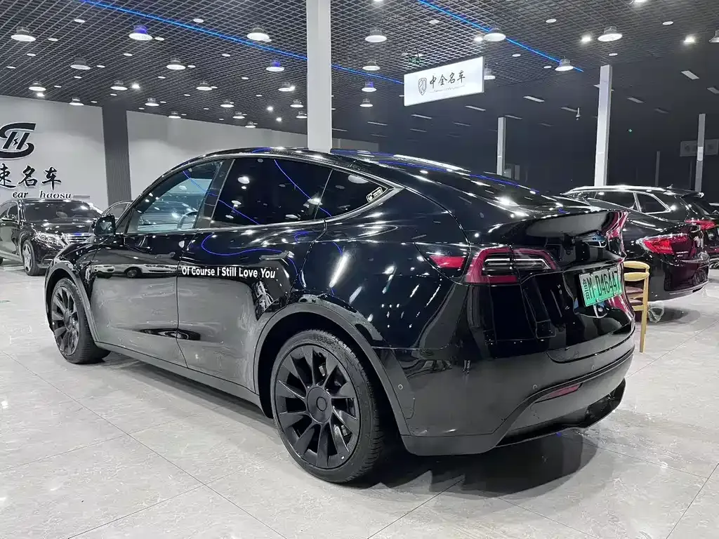 Tesla Model Y — фото 7