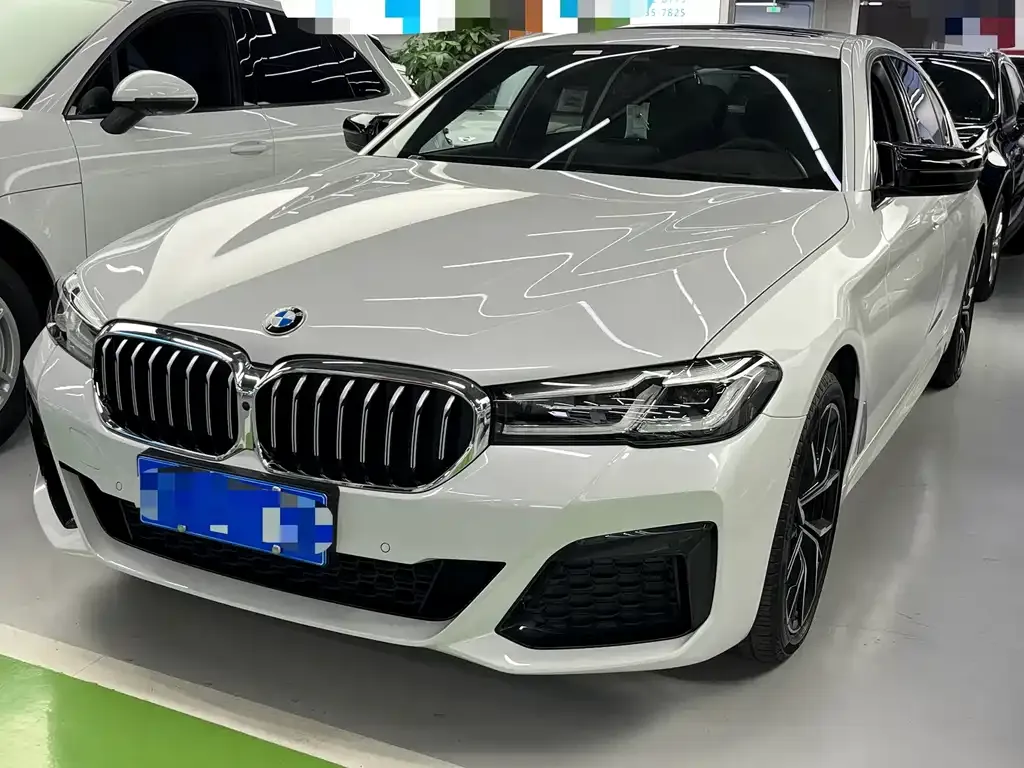 BMW 5 Series 2021 из CN, фото 1