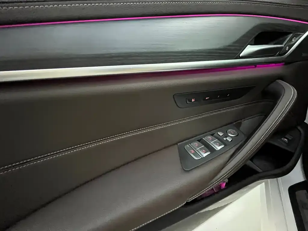 BMW 5 Series 2021 из CN, фото 10