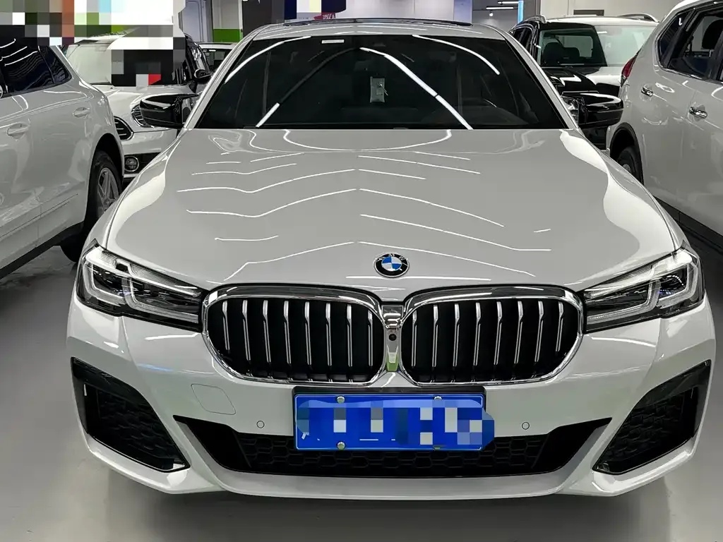 BMW 5 Series 2021 из CN, фото 2