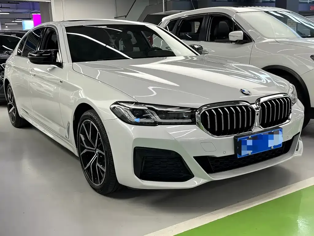 BMW 5 Series 2021 из CN, фото 3