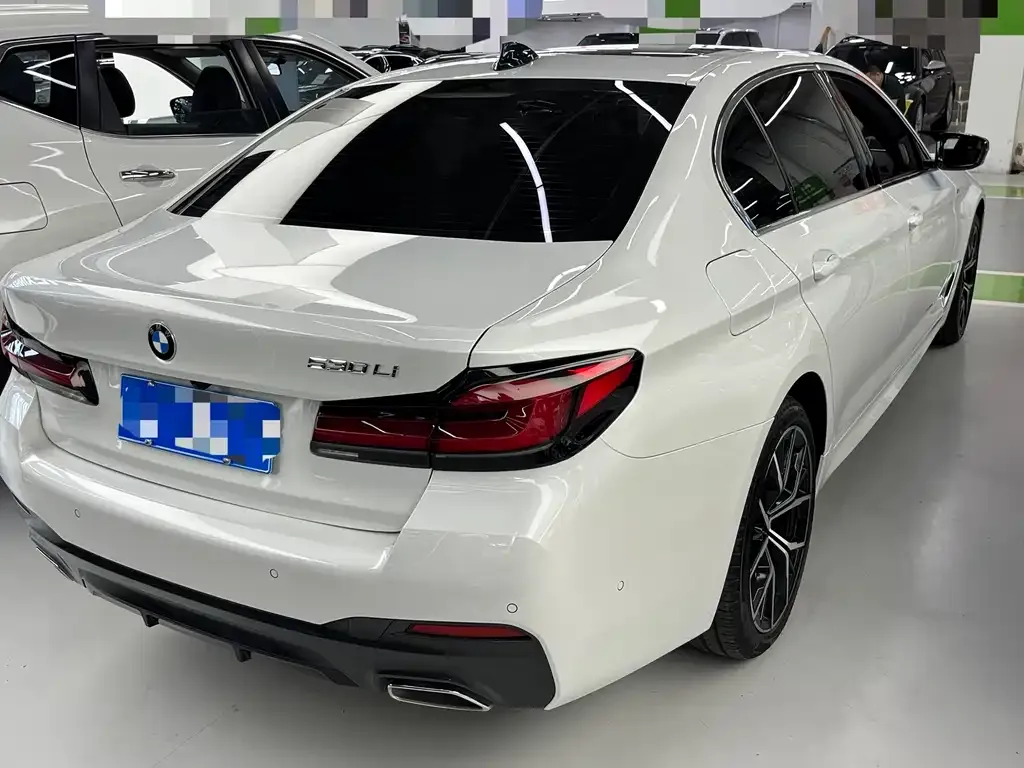 BMW 5 Series 2021 из CN, фото 4