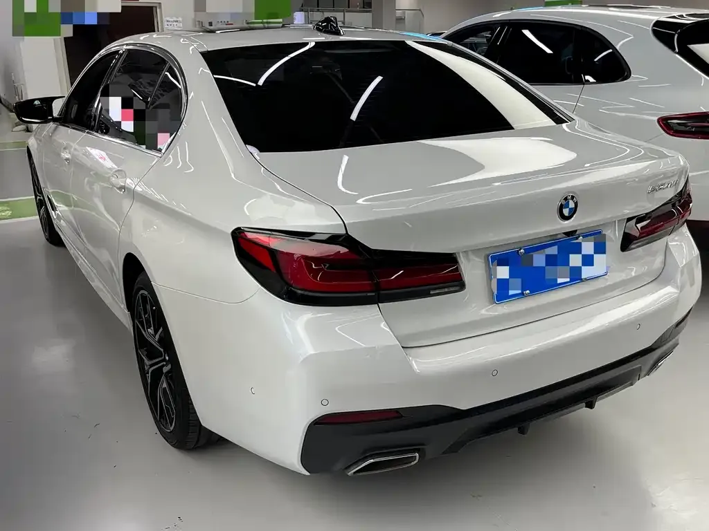 BMW 5 Series 2021 из CN, фото 5
