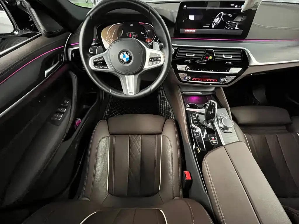 BMW 5 Series 2021 из CN, фото 6