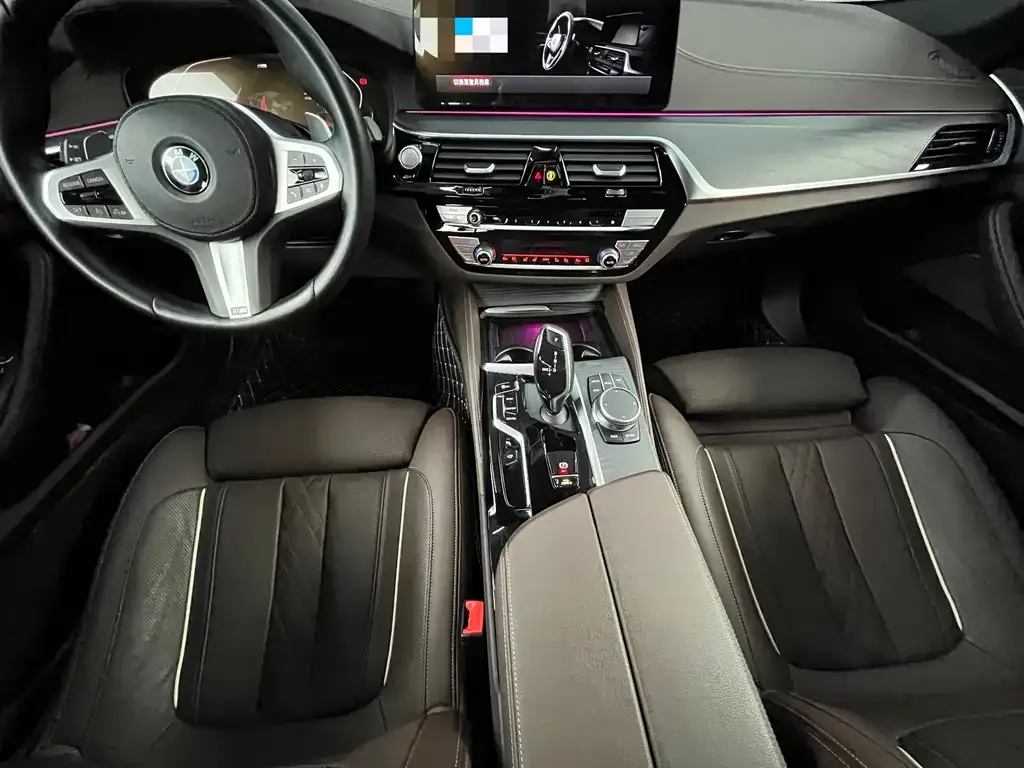 BMW 5 Series 2021 из CN, фото 7