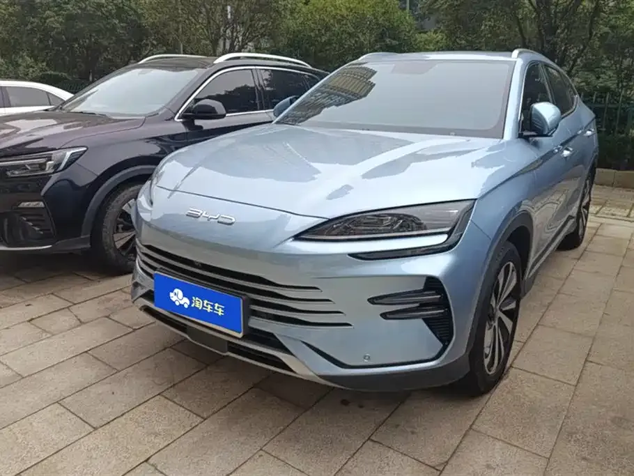 BYD PLUS New Energy — фото 1