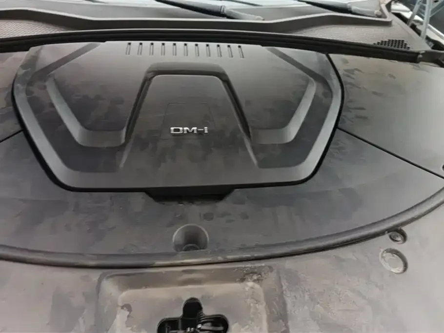 BYD PLUS New Energy — фото 10