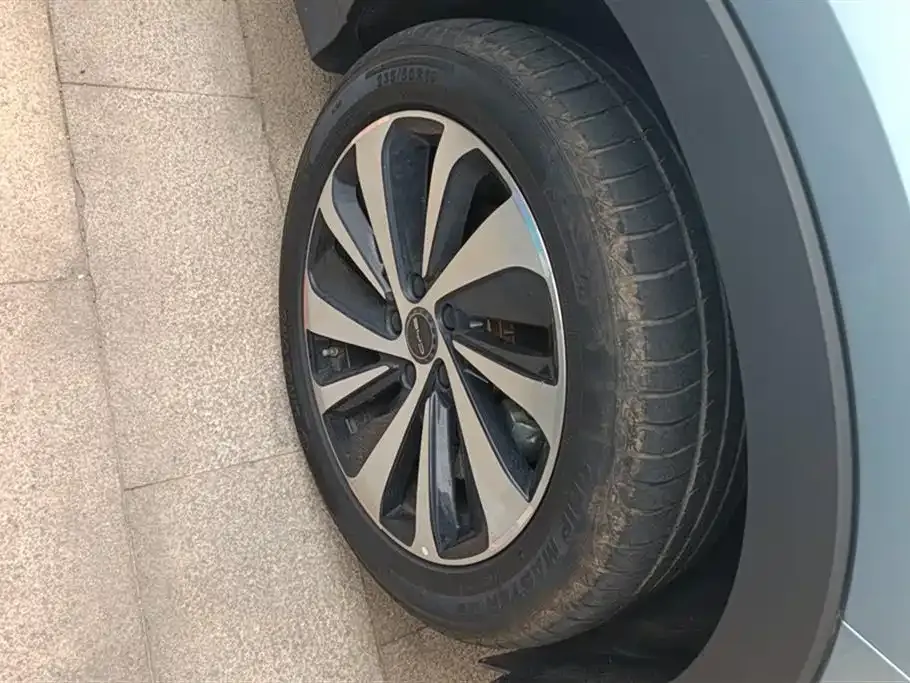 BYD PLUS New Energy — фото 6